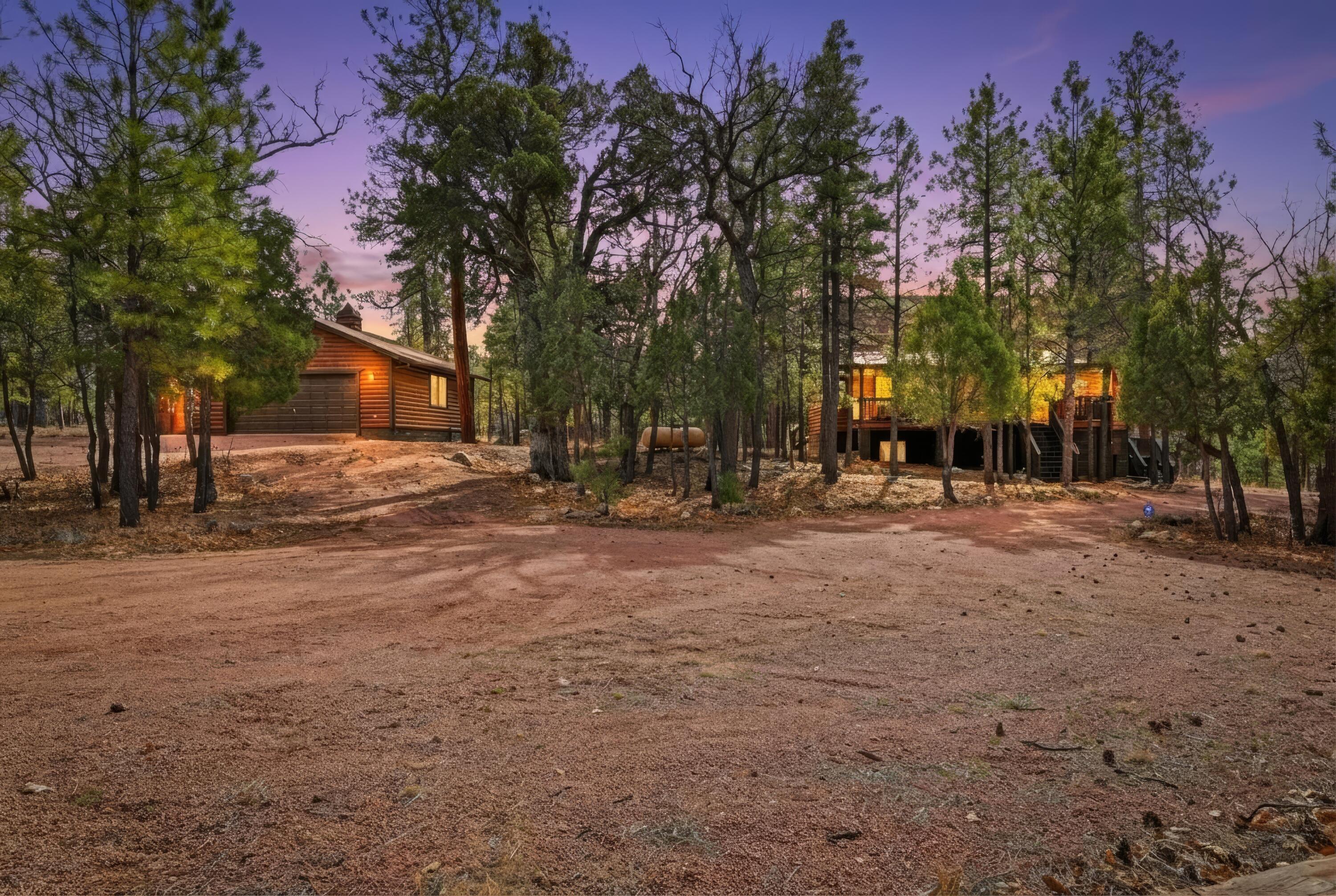 2908 APACHE Drive, Happy Jack, AZ 86024 — Photo 1 of 121
