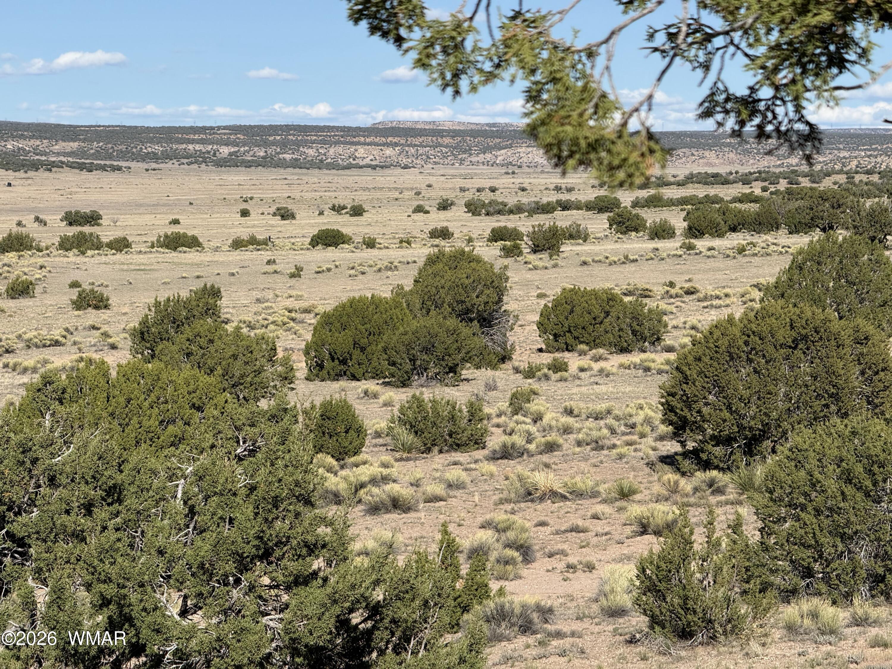 TBD Woodland Valley Ranch lot 849, St. Johns, AZ 85936 — Photo 1 of 4