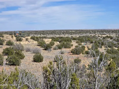 5827 Watermelon Drive, Heber, AZ 85928