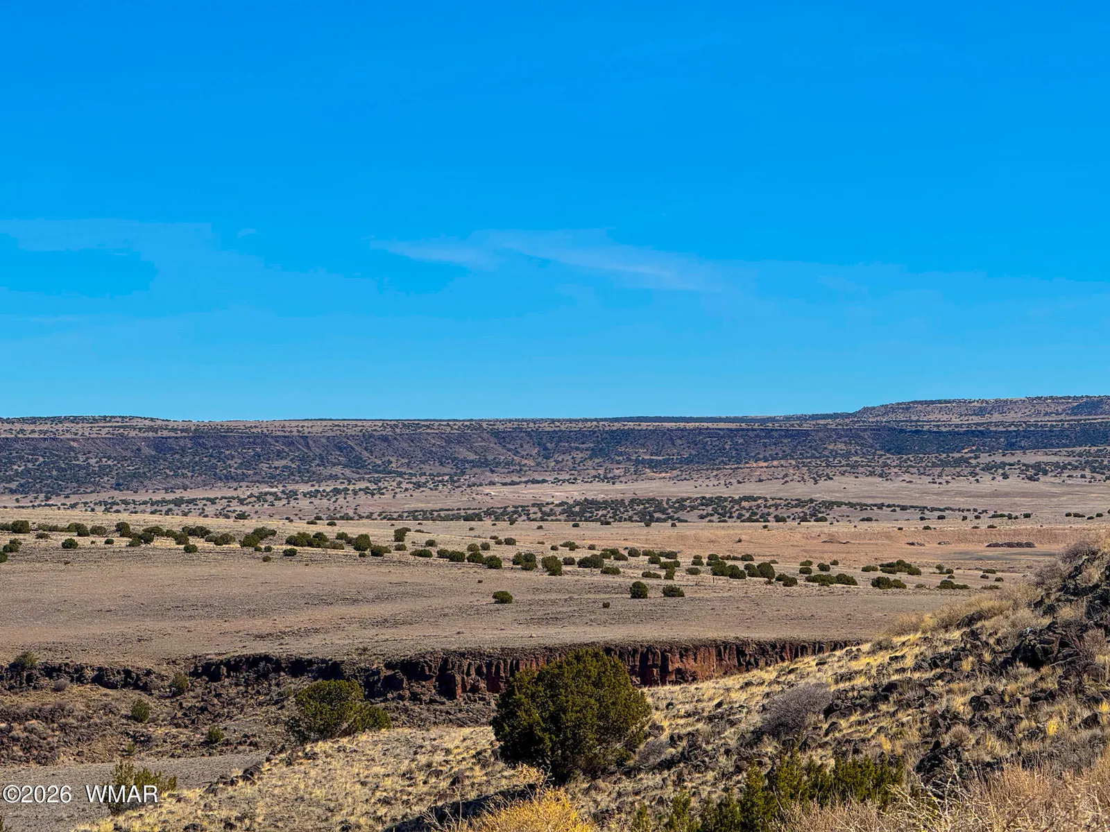0 CR 4008 (25 Acres), St. Johns, AZ 85936 — Photo 1 of 33