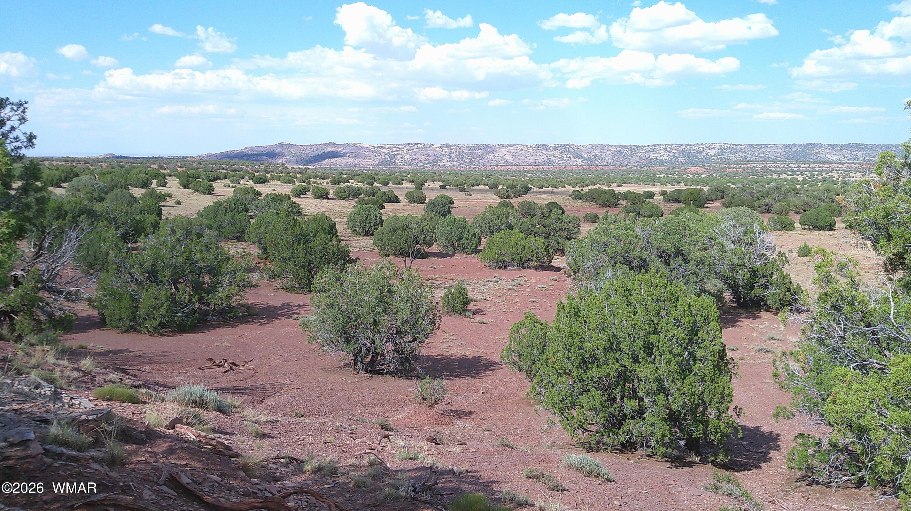 TBD Concho 10ac, Concho, AZ 85924 — Photo 1 of 31