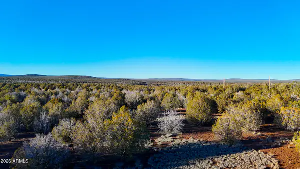 2408, 2374 W SKYLINE Drive -, Ash Fork, AZ 86320