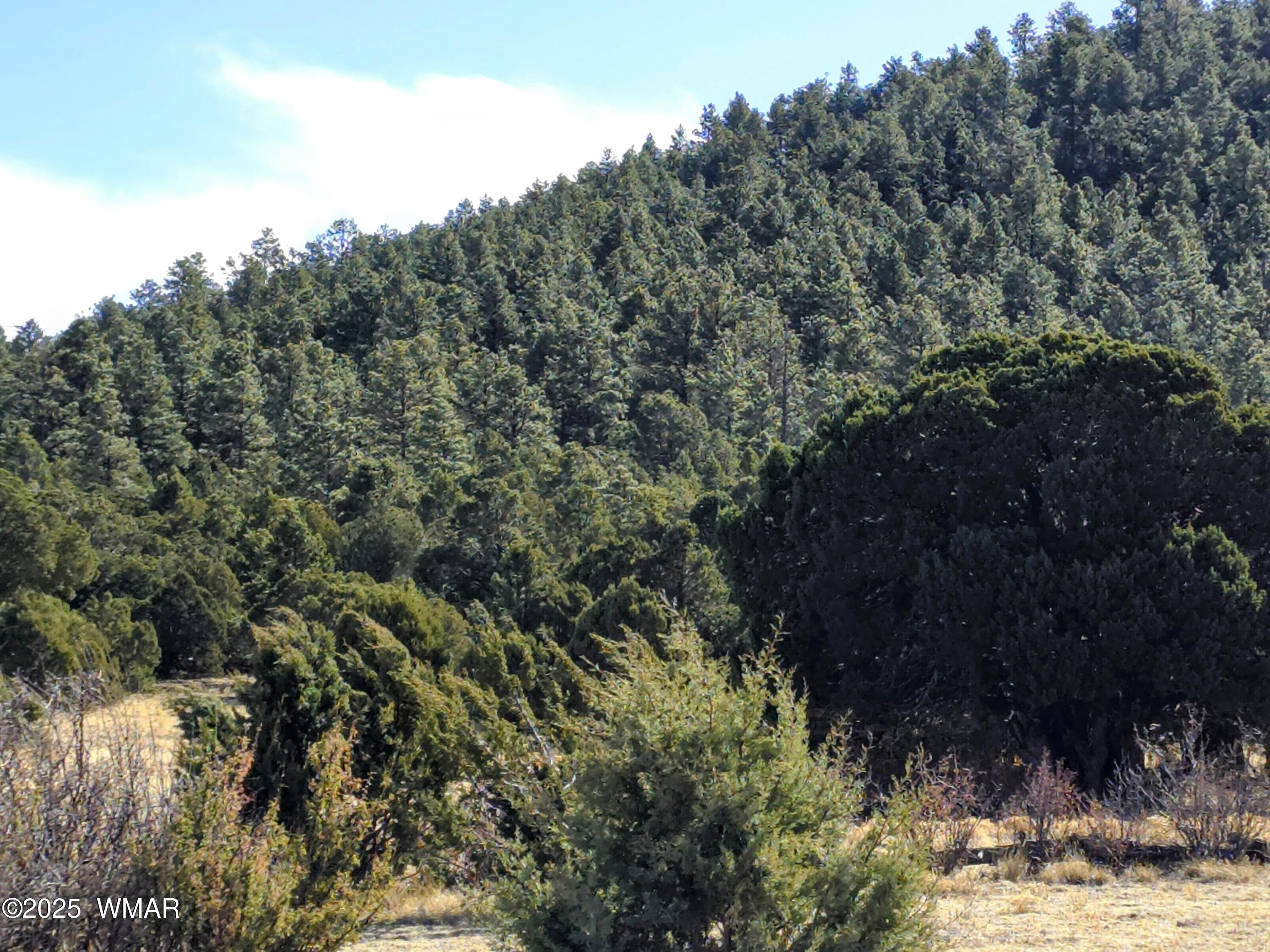 LOT 8 Red Cabin Ranch #8 LOt8, Vernon, AZ 85940