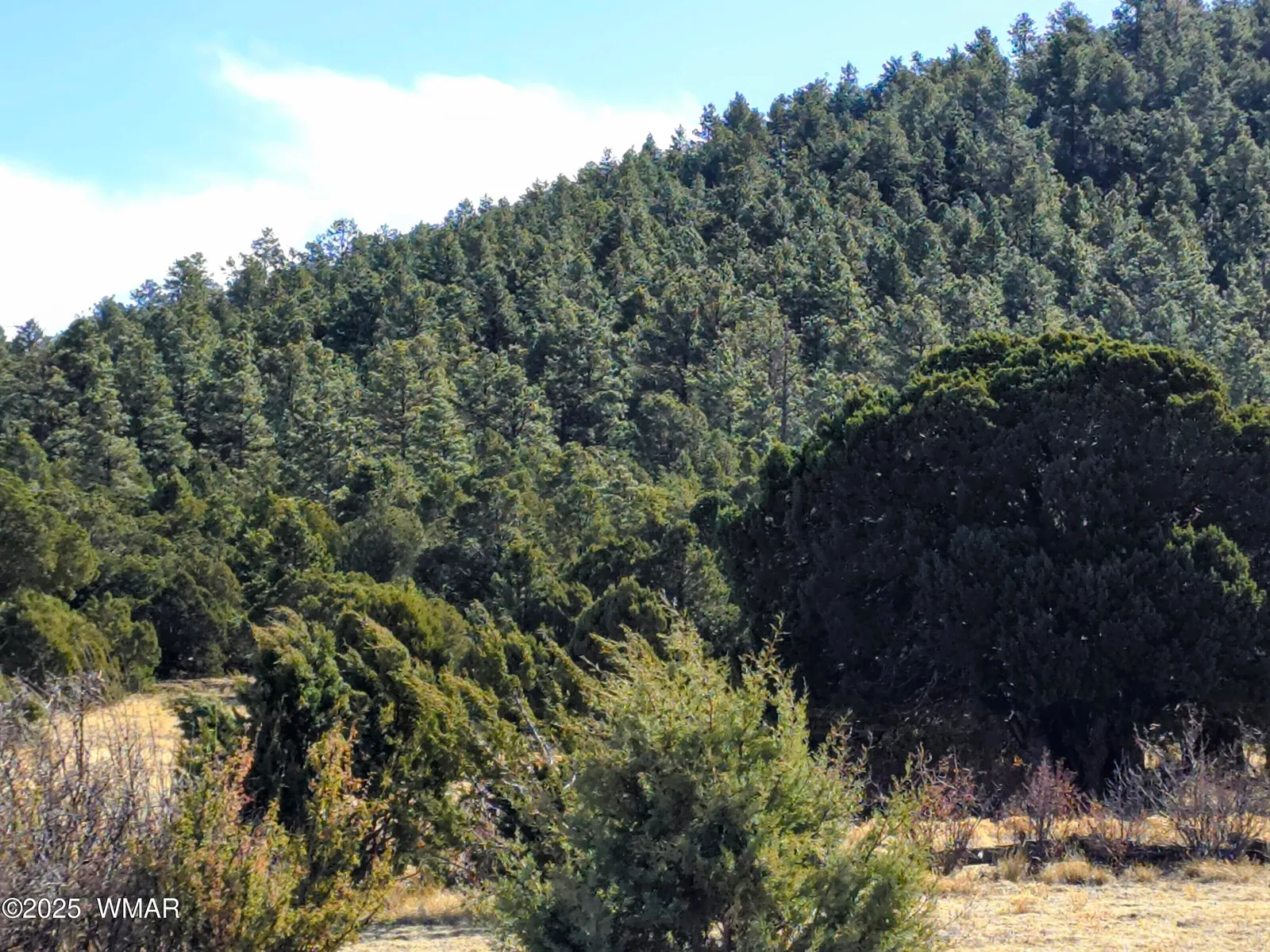 LOT 8 Red Cabin Ranch #8 LOt8, Vernon, AZ 85940 — Photo 1 of 31