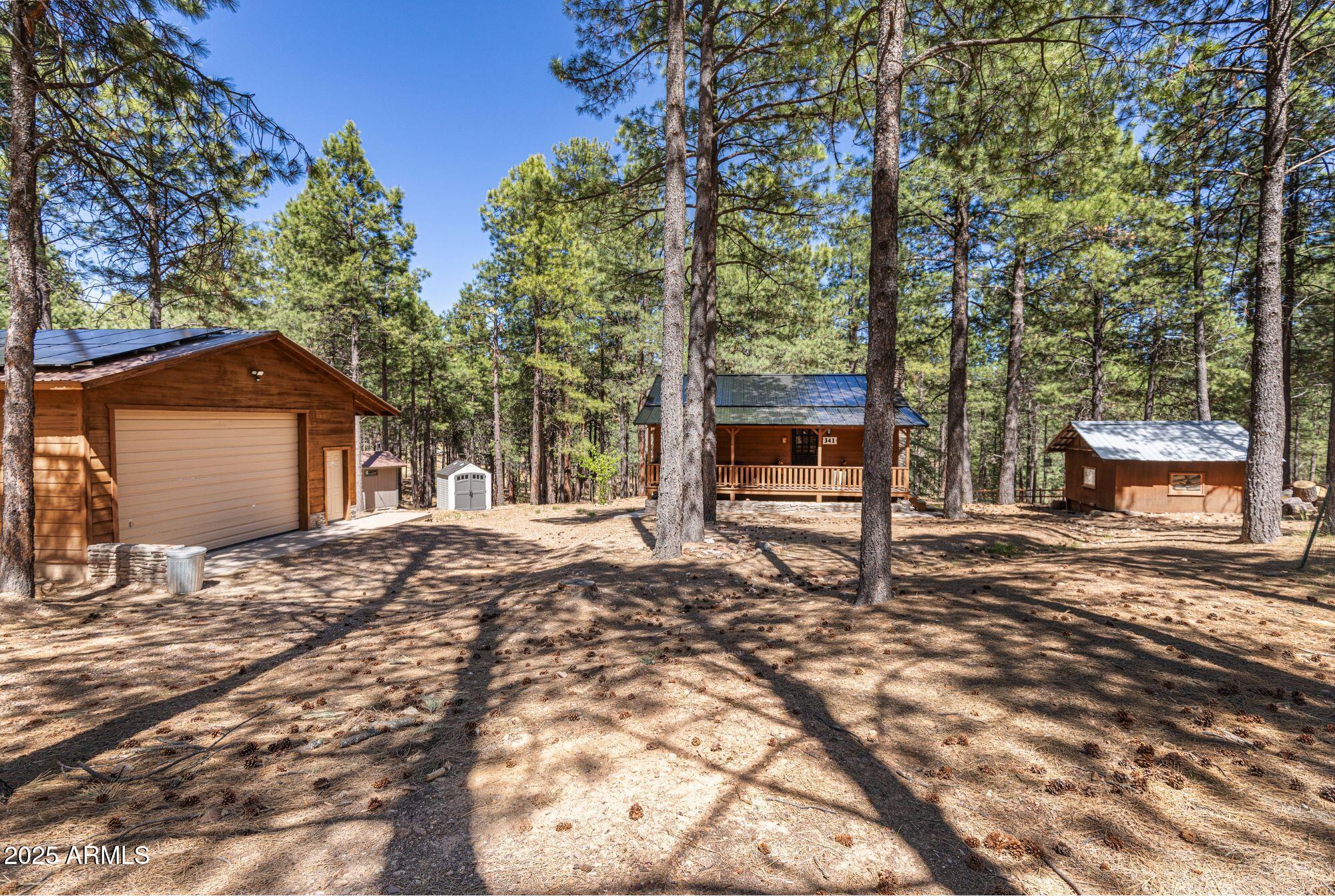 341 PINTO Road, Forest Lakes, AZ 85931 — Photo 1 of 61