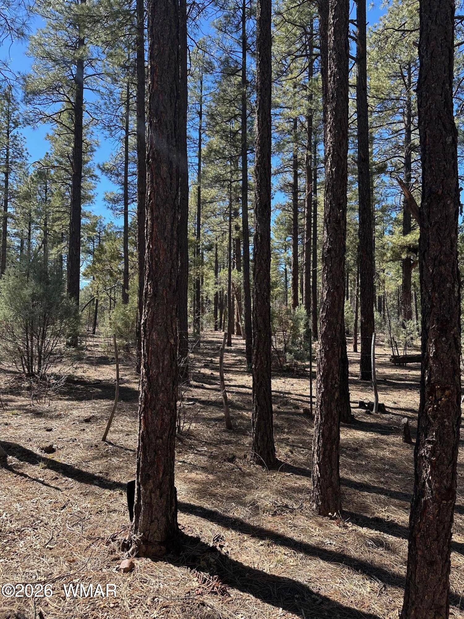 3737 Bear Trail, Lakeside, AZ 85929