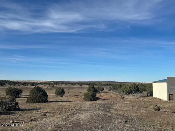 4500 E DEUCE OF CLUBS 210-01-041D, Show Low, AZ 85901