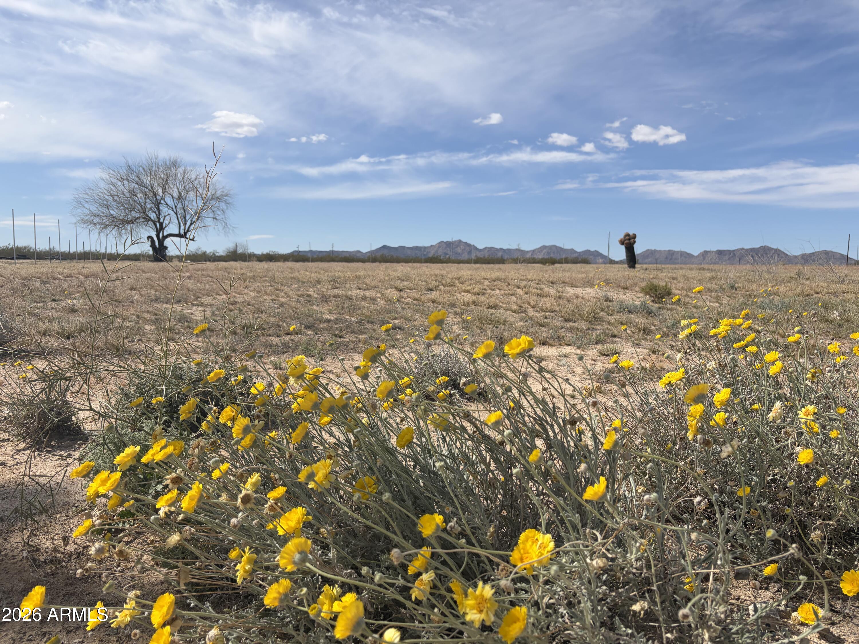 37138 SIX SHOOTER Road 3, Salome, AZ 85348 — Photo 1 of 6
