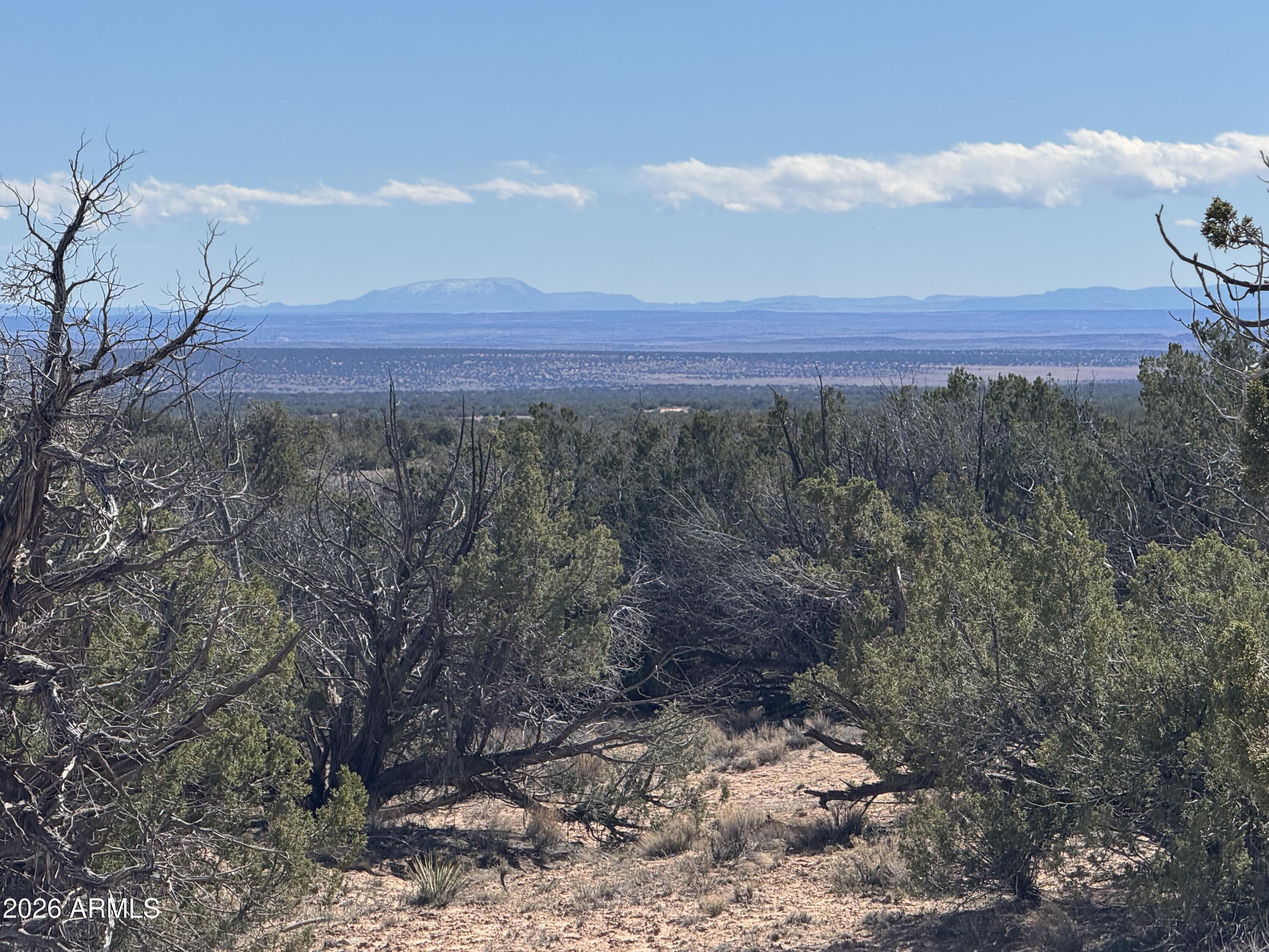 Lot 75 Red Sky Ranch 75, St Johns, AZ 85936 — Photo 1 of 24
