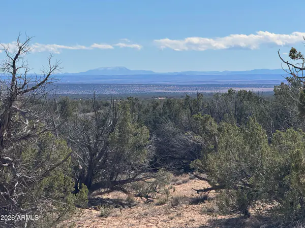 Lot 75 Red Sky Ranch 75, St Johns, AZ 85936