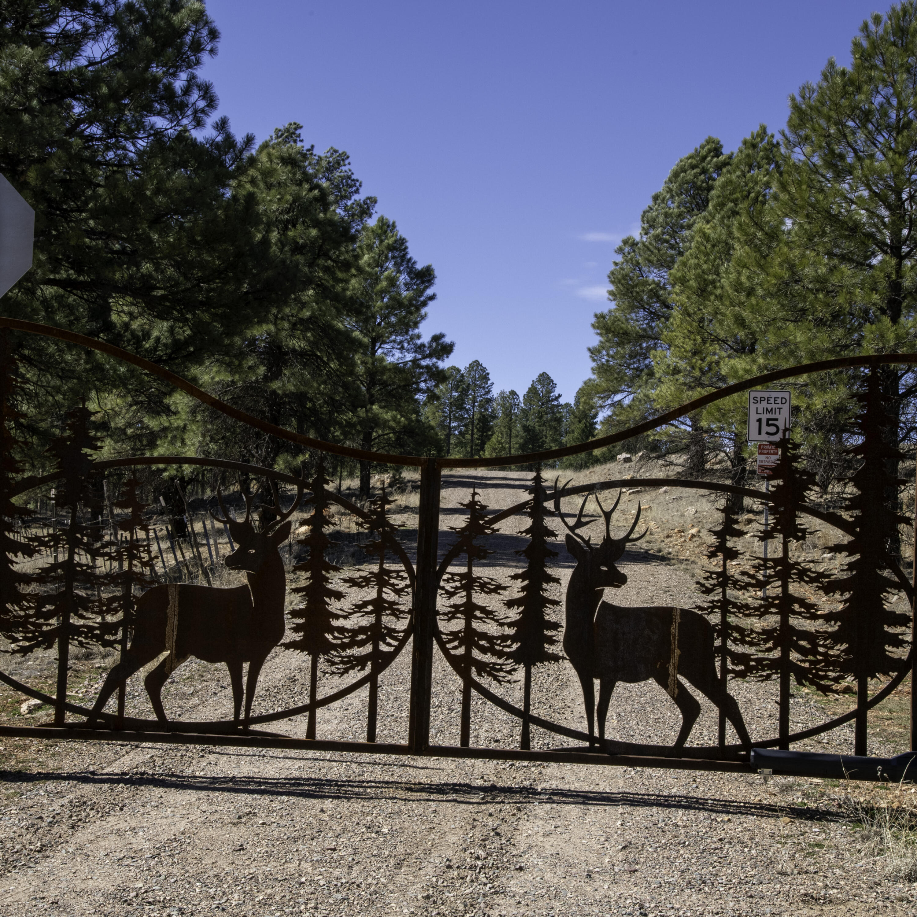 7770 Forest Service 122 Road, Happy Jack, AZ 86024 — Photo 1 of 41