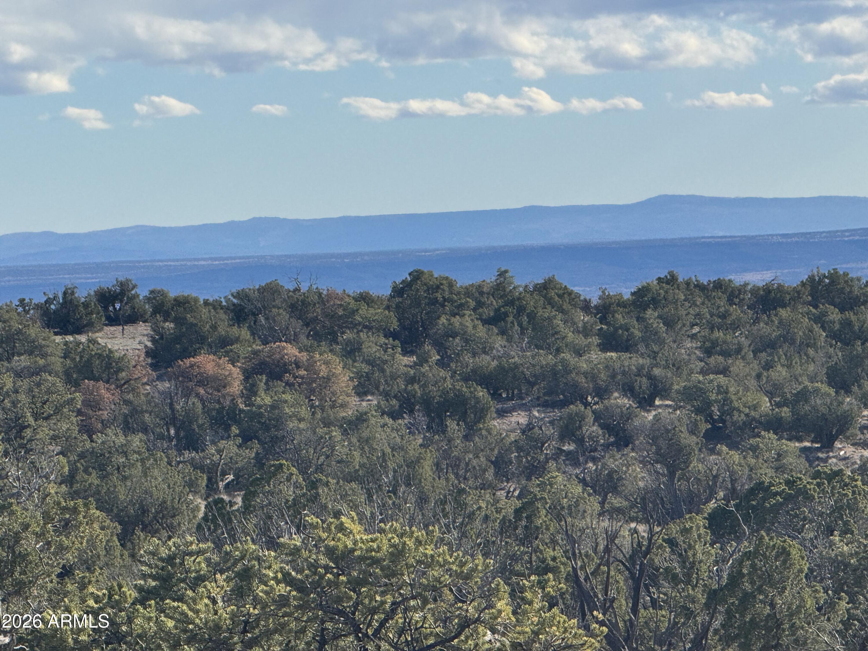 Lot 93 Red Sky Ranch 93, St Johns, AZ 85936 — Photo 1 of 15