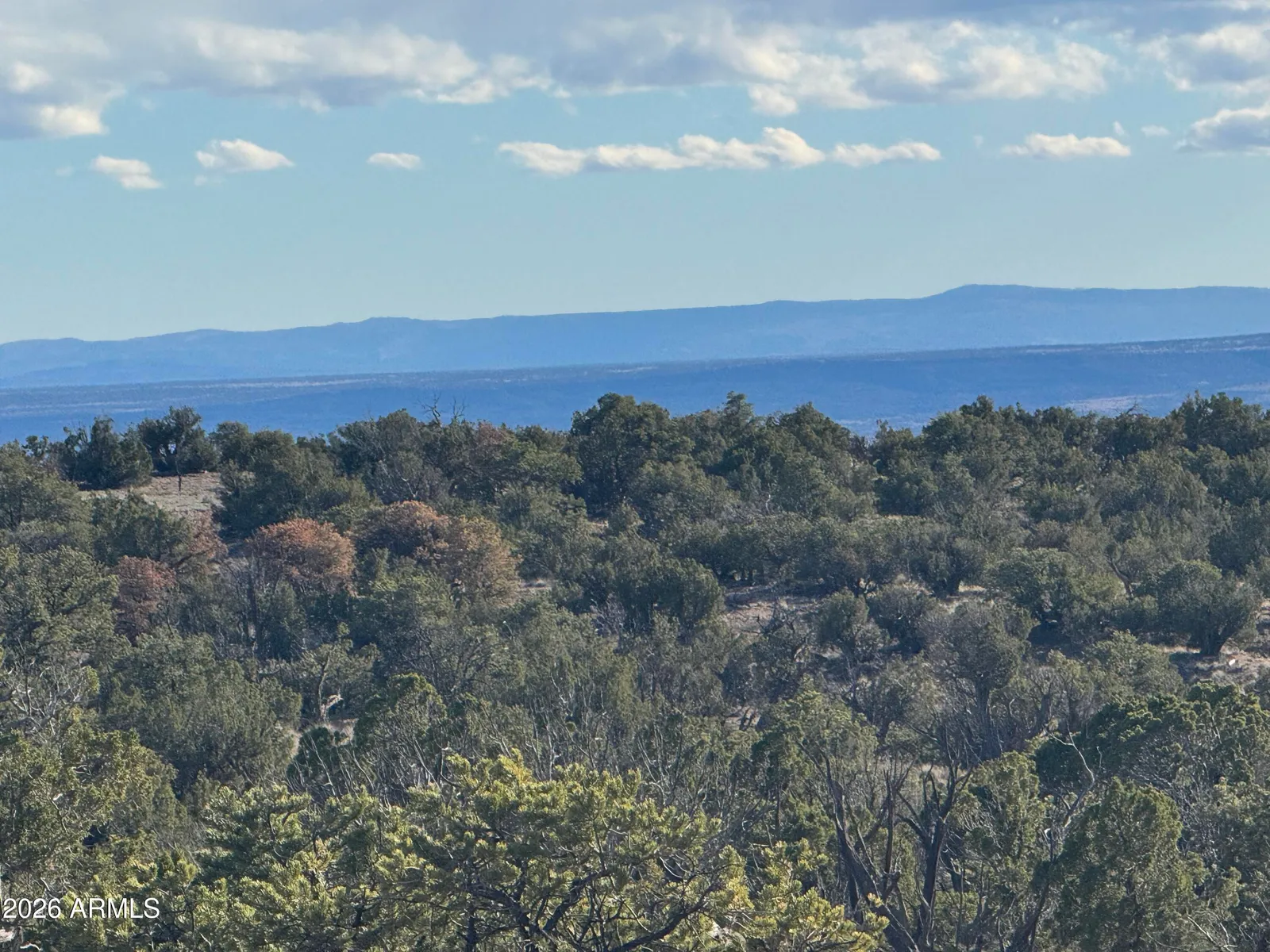 Lot 93 Red Sky Ranch 93, St Johns, AZ 85936 — Photo 1 of 15