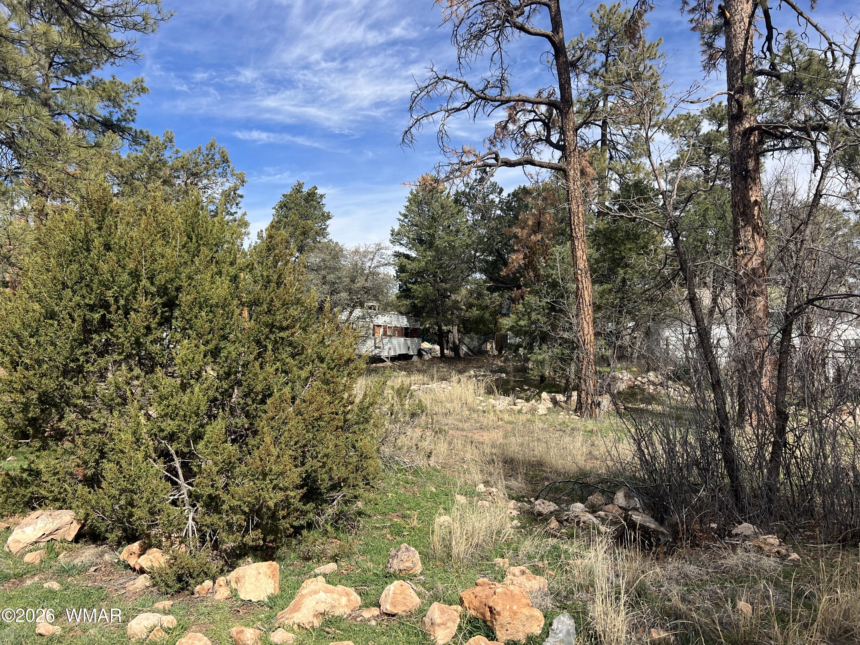 2856 Rainbow Trail, Overgaard, AZ 85933