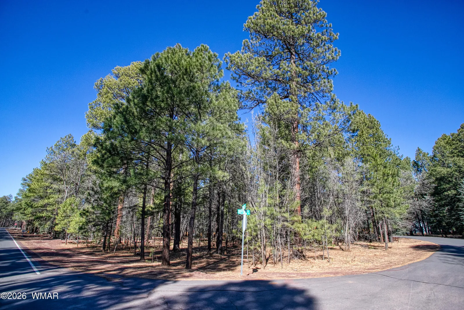 4250 Branding Iron Loop, Pinetop, AZ 85935 — Photo 1 of 8