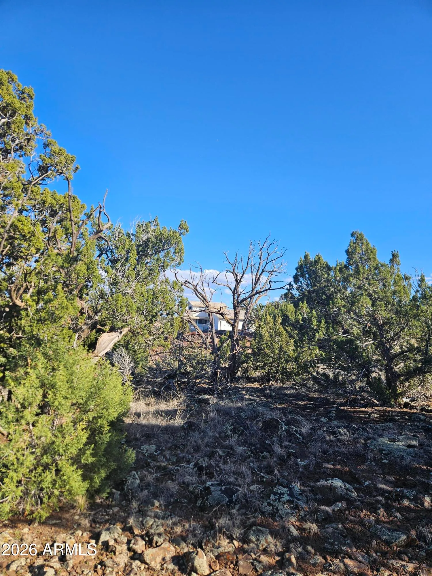 1856 Rainbow Circle -, Show Low, AZ 85901 — Photo 1 of 11