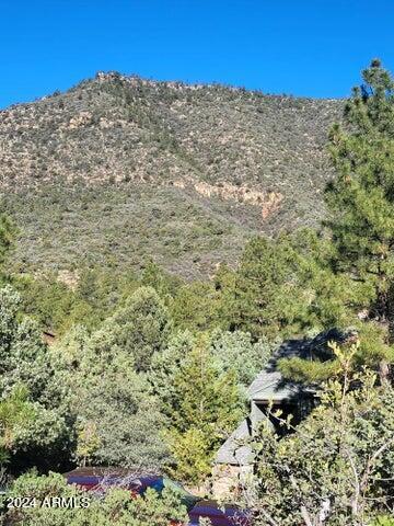 Lot 163 N Portal Drive 163, Pine, AZ 85544 — Photo 1 of 10