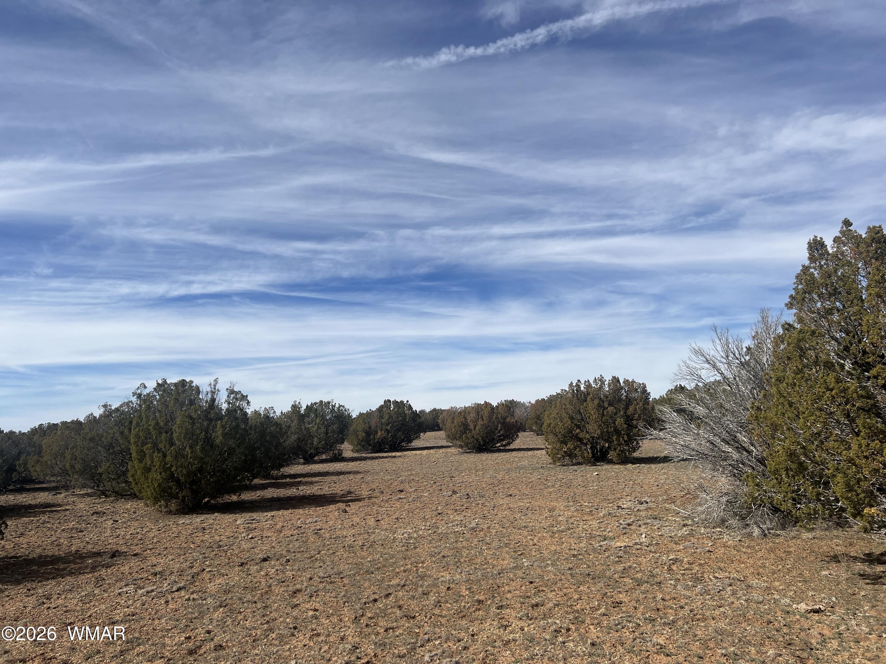 8526 Lake Ridge Road, Show Low, AZ 85901 — Photo 1 of 10