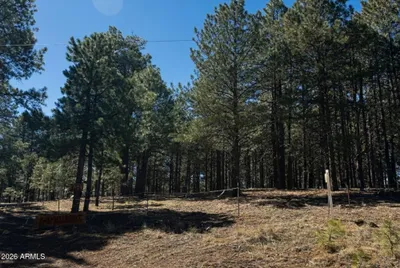1080 POND Circle 890, Forest Lakes, AZ 85931