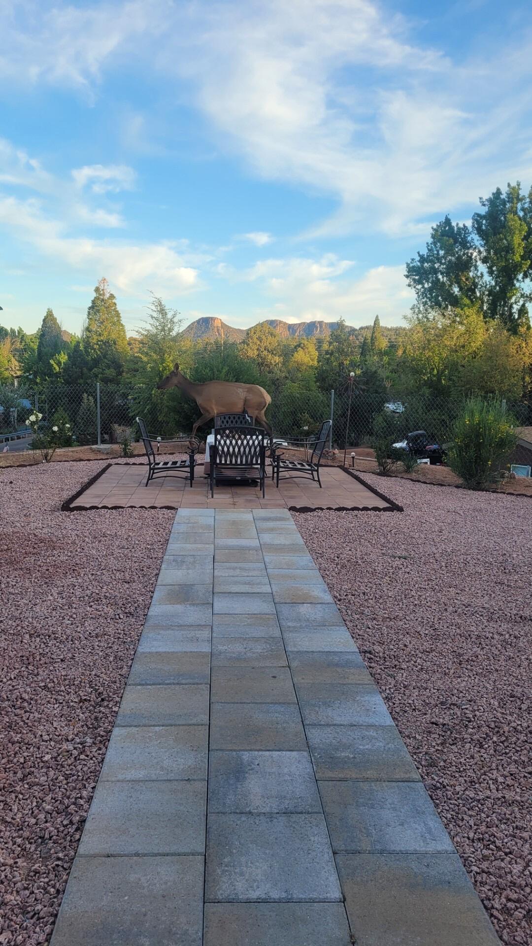 16 N Star Vale Road, 105, Star Valley, AZ 85541