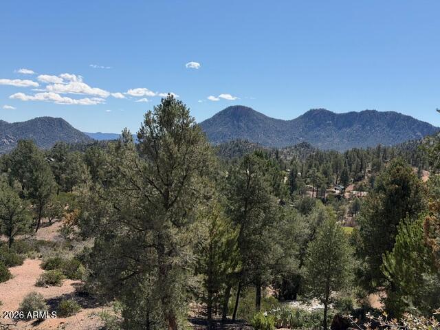 704 S Shady Glade, Payson, AZ 85541 — Photo 1 of 118