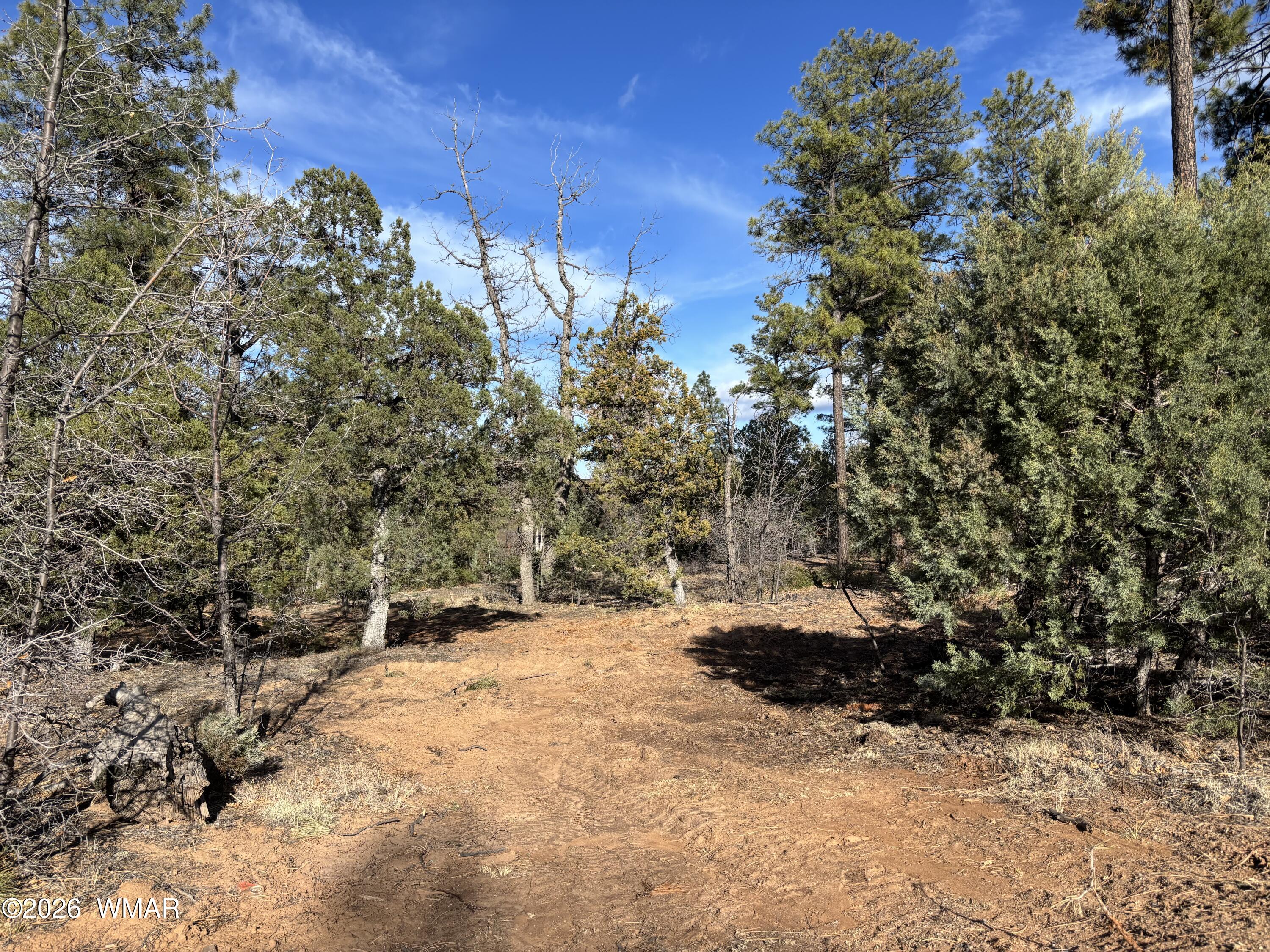 6992 Wagon Wheel Lane, Lakeside, AZ 85929