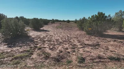 9445 Texas Lane, Show Low, AZ 85901