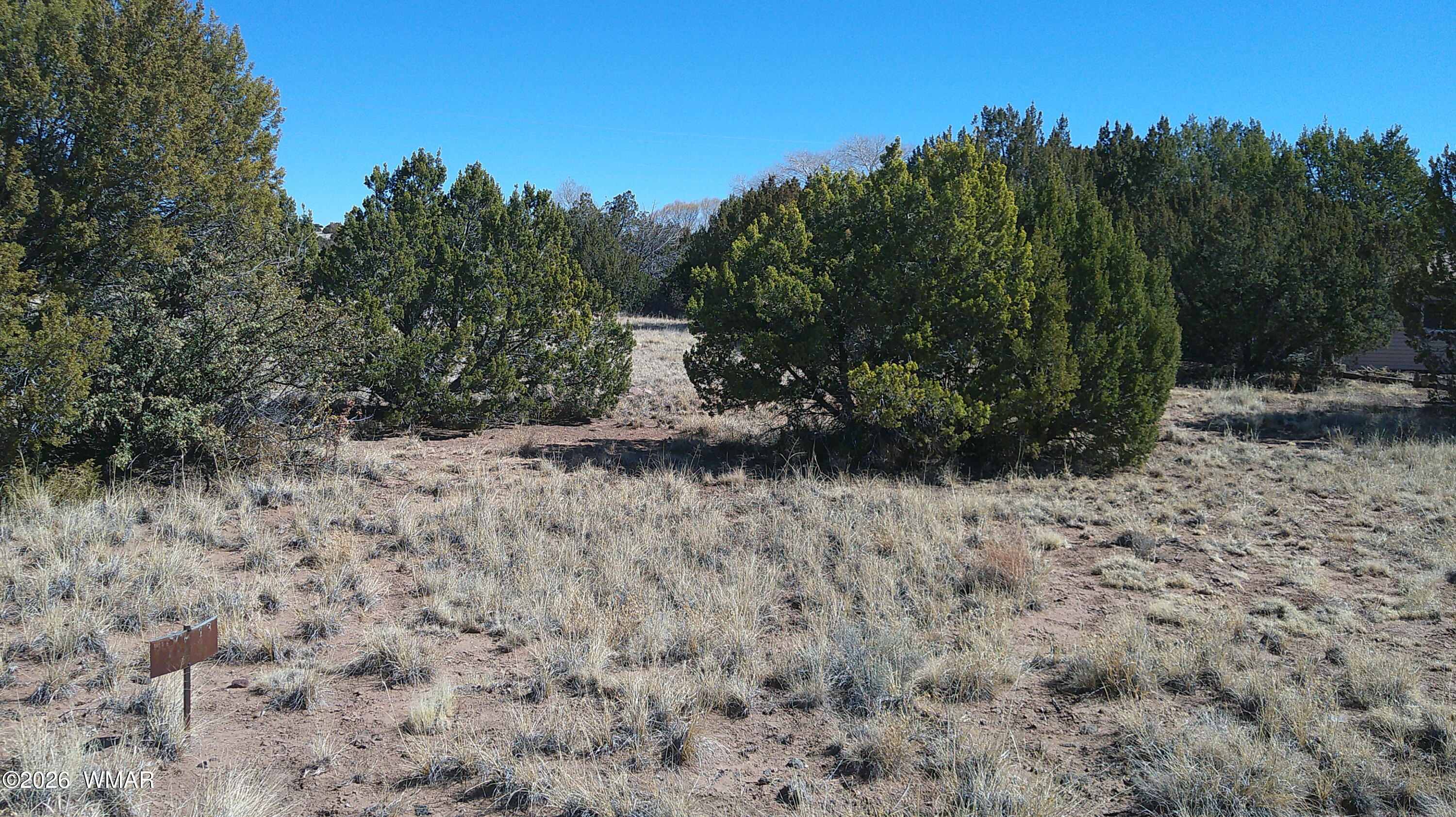 TBD Concho Valley 1 Drive, Concho, AZ 85924 — Photo 1 of 14