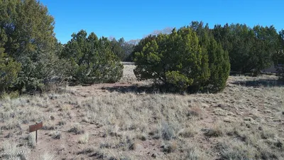 TBD Concho Valley 1 Drive, Concho, AZ 85924