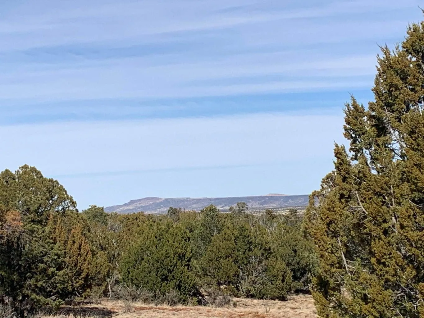 7310 Red Feather Court, Happy Jack, AZ 86024 — Photo 1 of 9