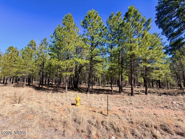 1921 Pine Canyon Drive, Happy Jack, AZ 86024 — Photo 1 of 5