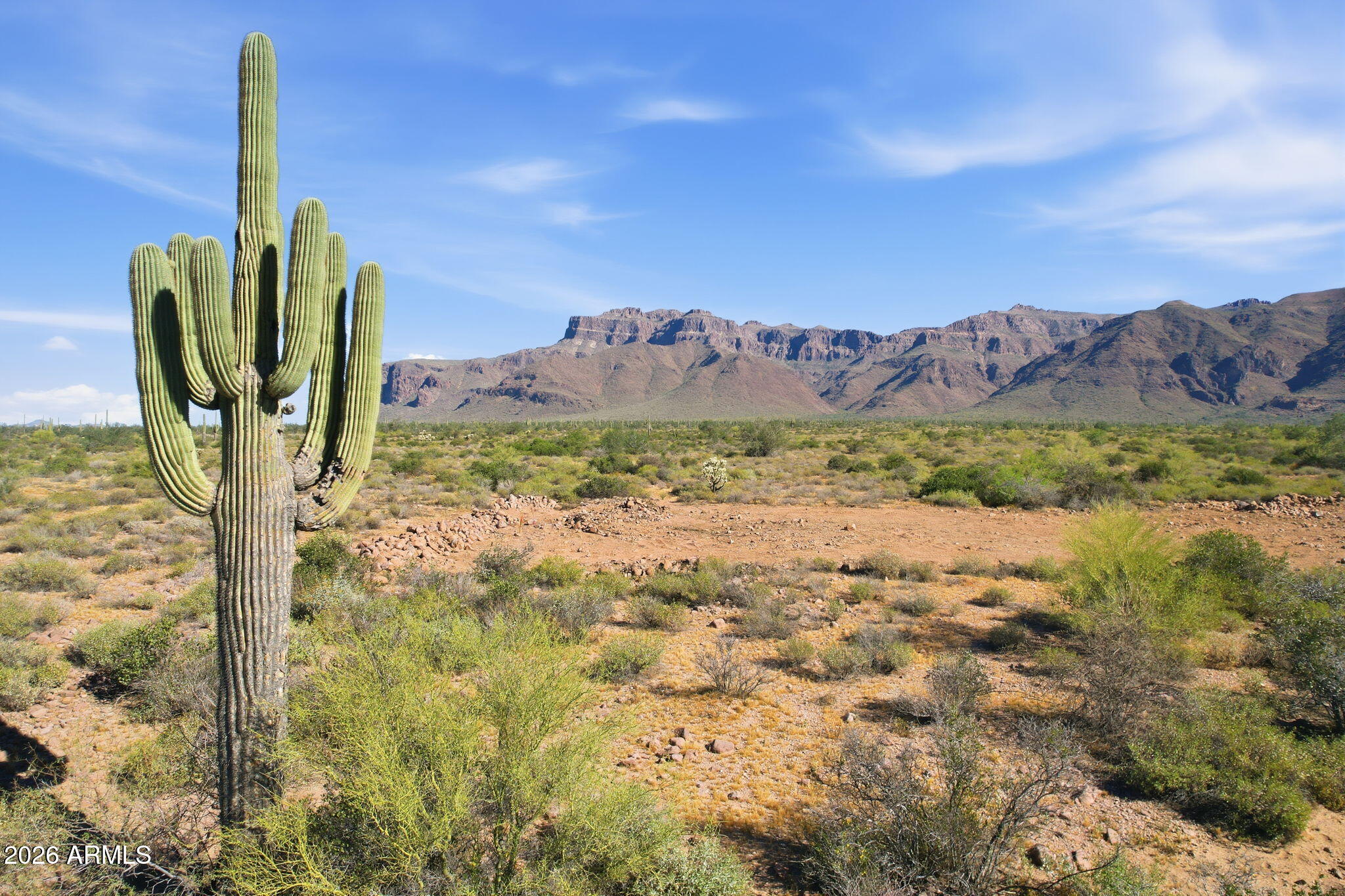 0 Southern 1, Gold Canyon, AZ 85118 — Photo 1 of 14