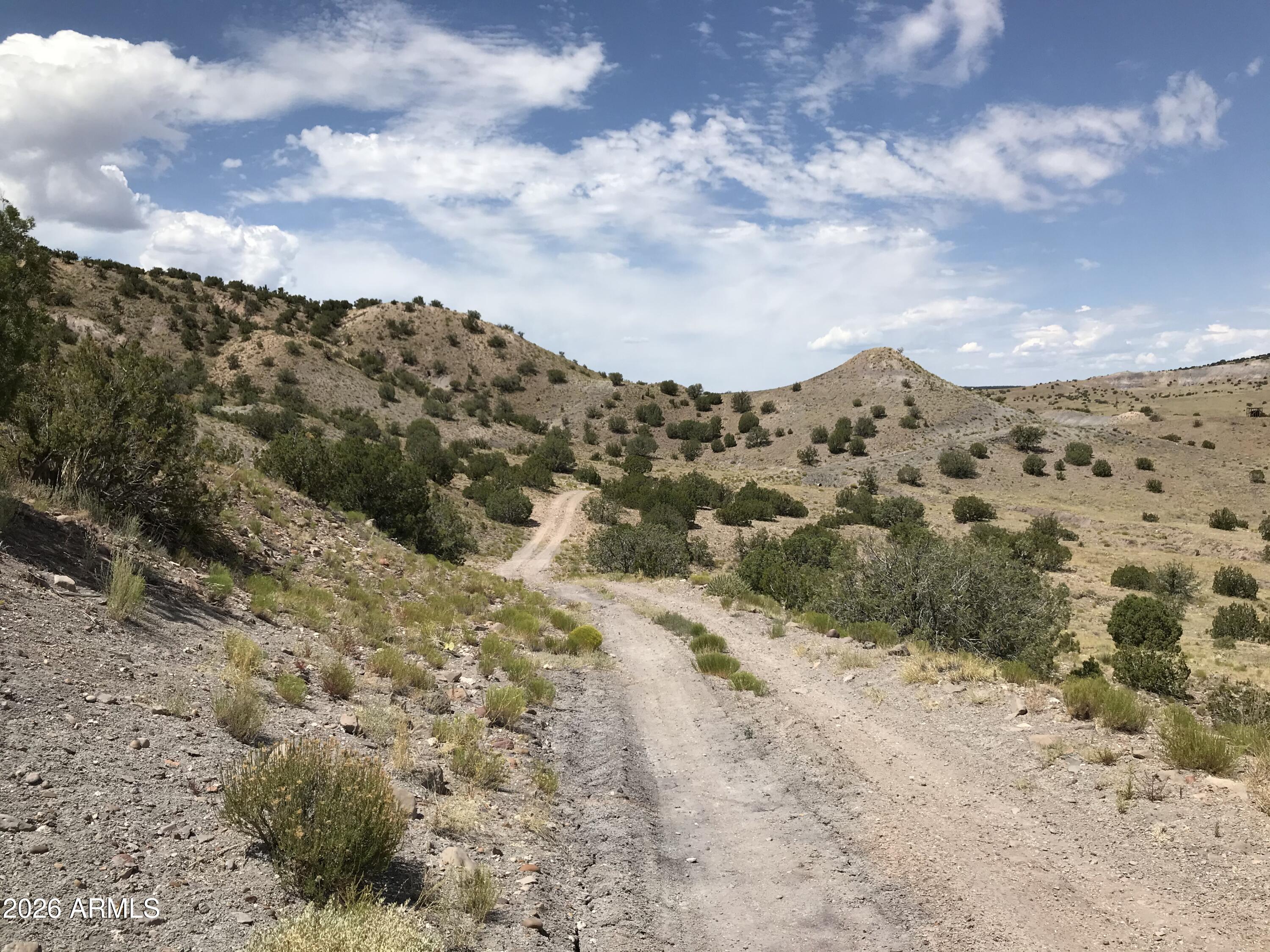 0 Lot N5338 -, Concho, AZ 85924 — Photo 1 of 7