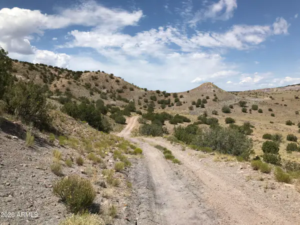 0 Lot N5338 -, Concho, AZ 85924