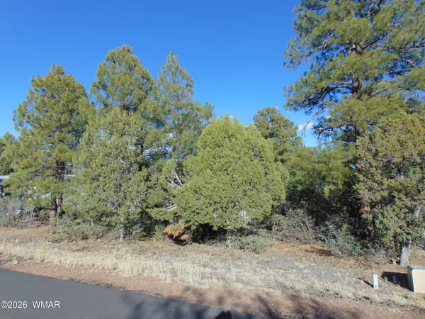 681 S 2nd Street, Show Low, AZ 85901
