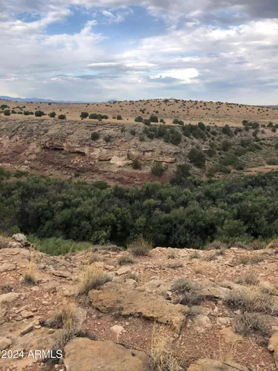 100 River Springs Ranch 100, St Johns, AZ 85936