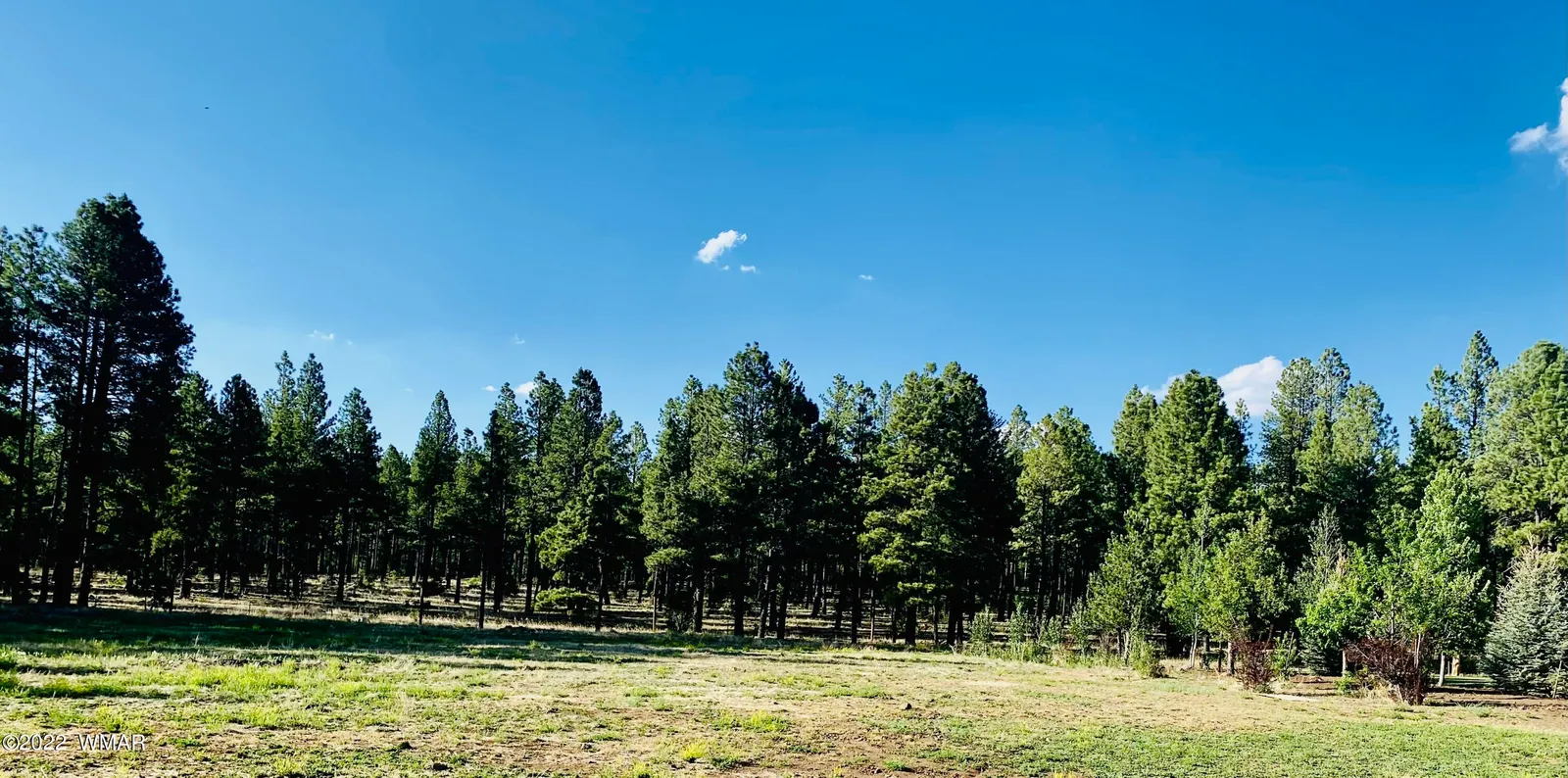 9592 Sierra Springs Drive, Pinetop, AZ 85935 — Photo 1 of 16