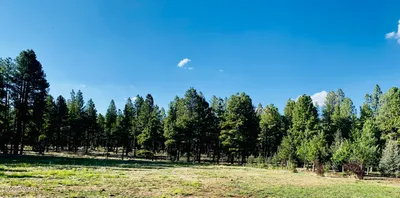 9592 Sierra Springs Drive, Pinetop, AZ 85935