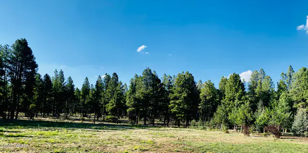 9592 Sierra Springs Drive, Pinetop, AZ 85935