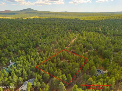Thumbnail 52