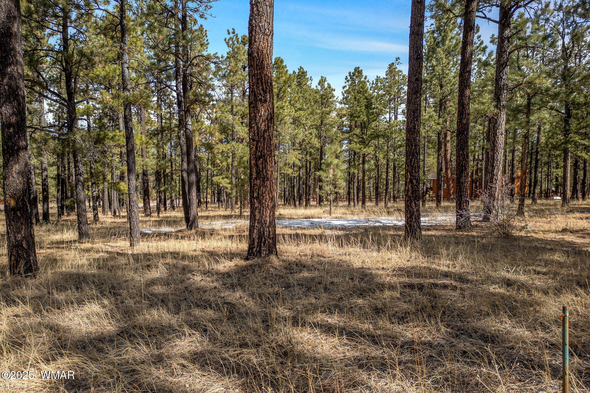 3 N1062, Greer, AZ 85927 — Photo 1 of 15