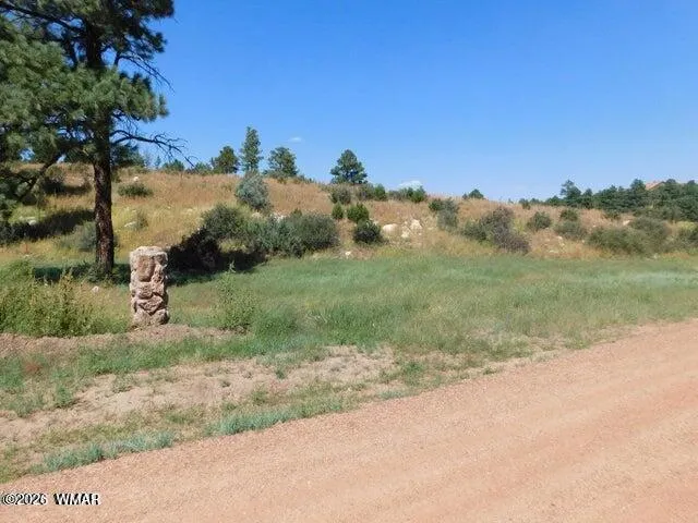 2806-2808 Pine Hill Drive, Overgaard, AZ 85933 — Photo 1 of 1