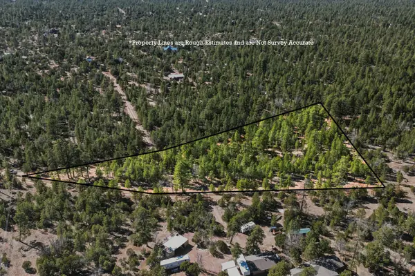 2397 Wigeon Way, Happy Jack, AZ 86024