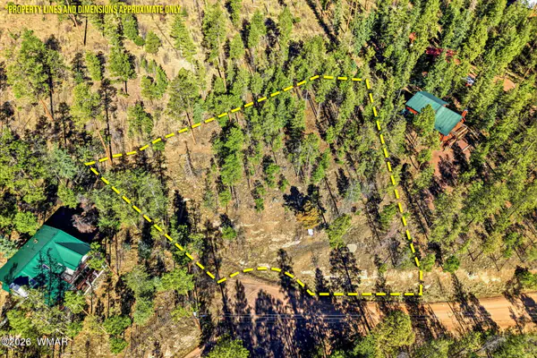 12 W Pergatory Drive, Alpine, AZ 85920