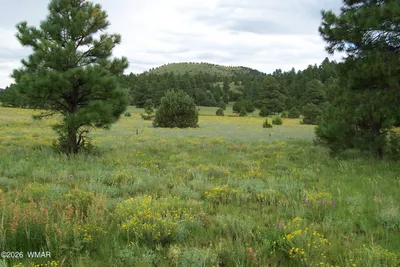 Lot 5 Red Cabin Ranch Unit II, Vernon, AZ 85940