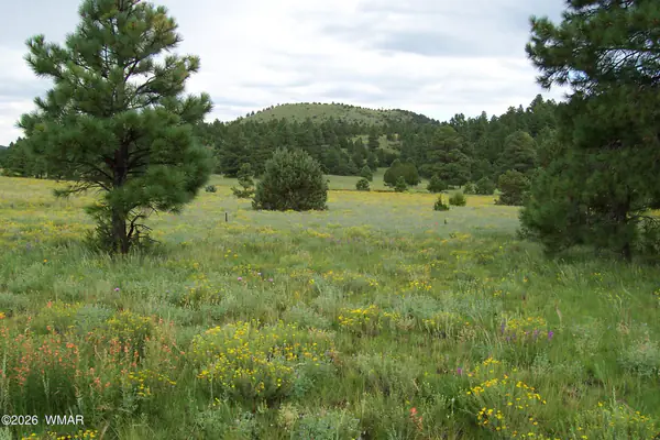 Lot 5 Red Cabin Ranch Unit II, Vernon, AZ 85940