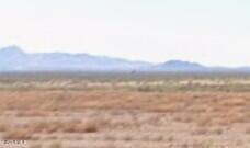 Thumbnail 21