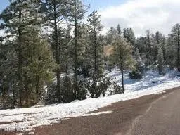 3378 WINDY Lane 139, Heber, AZ 85928 — Photo 1 of 8