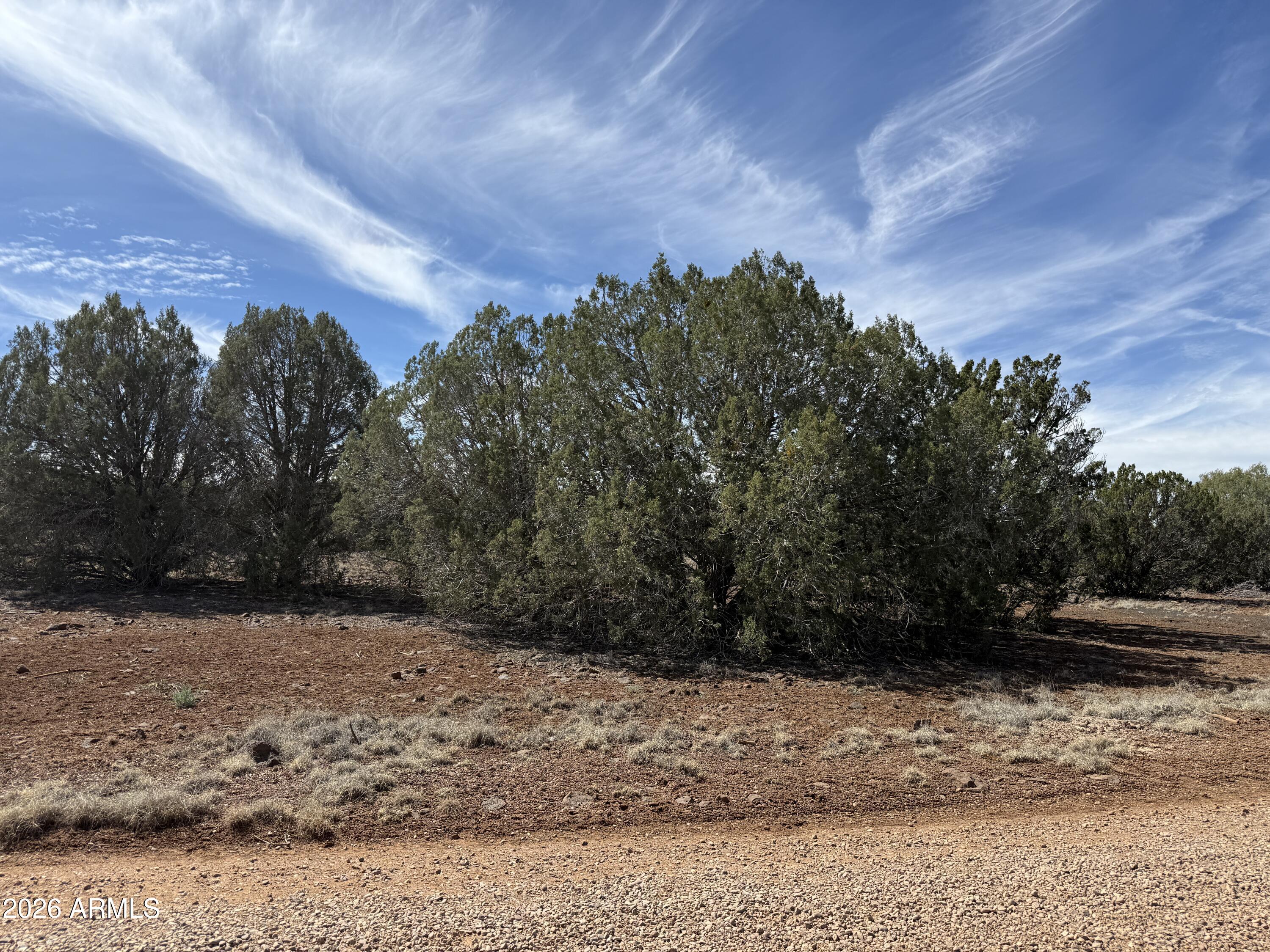 8389 BEAR MEADOW Drive 4, Show Low, AZ 85901 — Photo 1 of 12