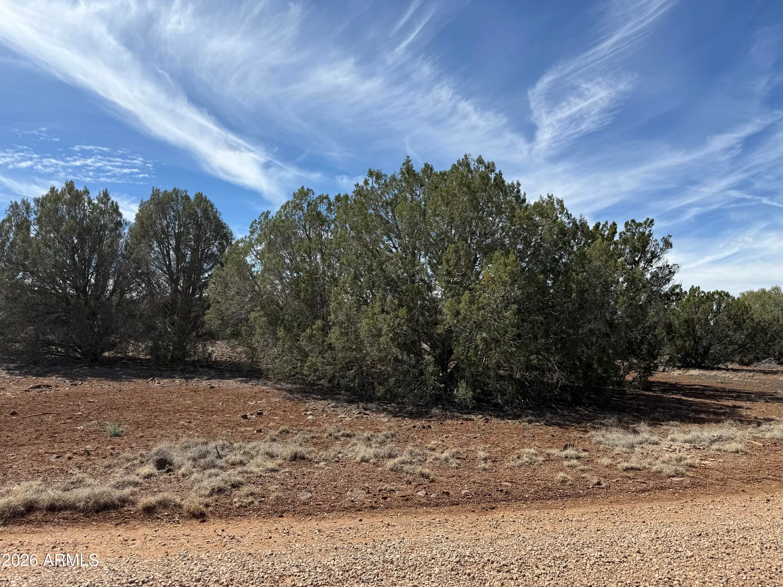 8389 BEAR MEADOW Drive 4, Show Low, AZ 85901 — Photo 1 of 12